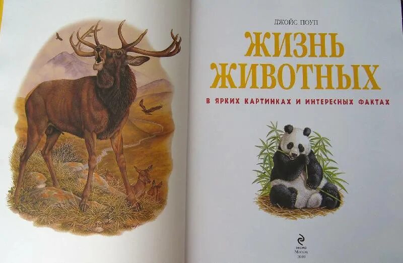 Жизнь животных том 4. Джойс поуп большая энциклопедия животных. интересная литература о жизни животных. жизнь животных книга картинки. поуп животные книга.