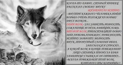 Между нами волки как будто слова