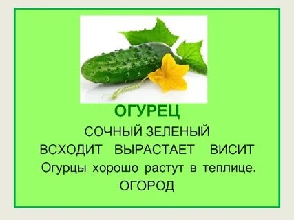 Описание огурца