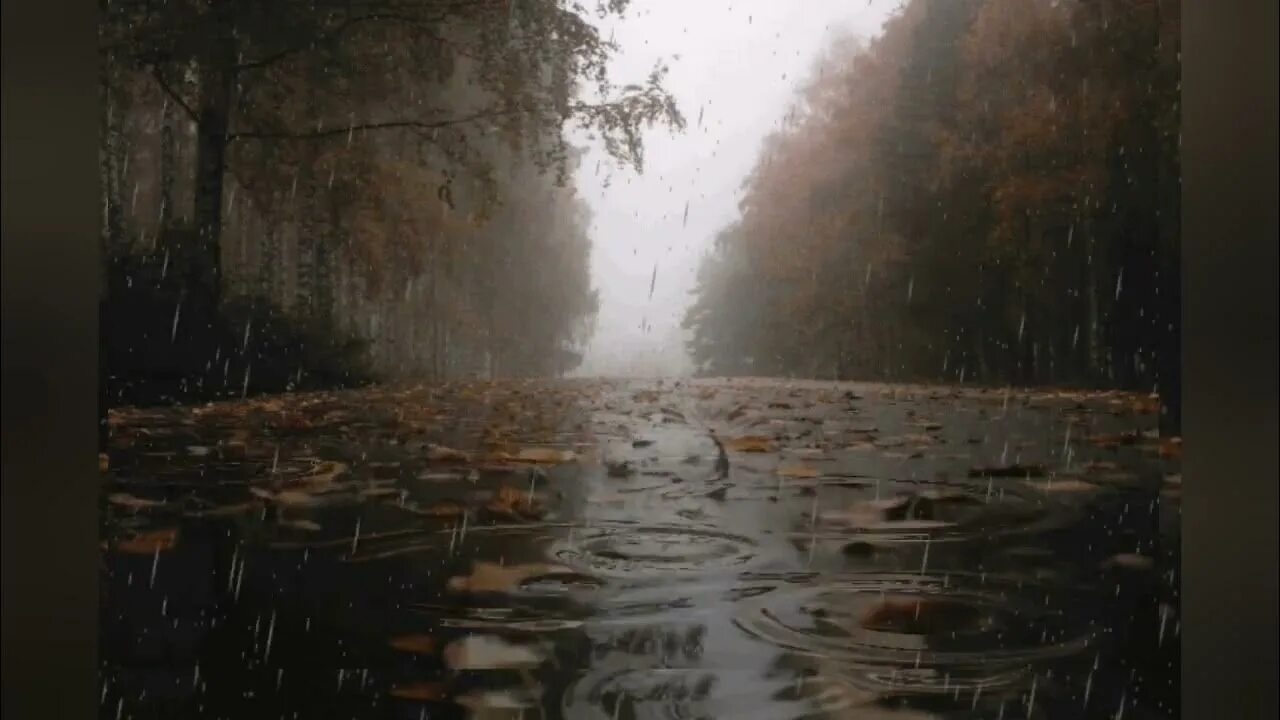 Осенний дождь анимация. Ливень анимация. Осень дождь гиф. Дождь gif анимация. Слякотная осень.