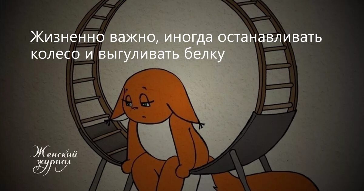Является жизненно необходимым. Останавливать колесо и выгуливать белку. жизненно необходимо иногда останавливать колесо и выгуливать. иногда необходимо останавливать колесо и выгуливать белку. жизненно необходимо иногда.