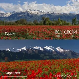 Кыргызстан одно и тоже или нет