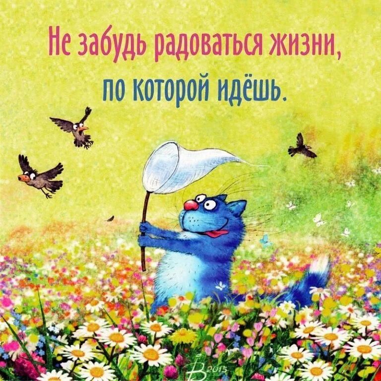 Хорошего дня и отличного настроения прикольные позитивные. Ирина зенюк доброе утро. позитивная открытка для настроения. позитивные открытки. позитивные открытки на каждый день.