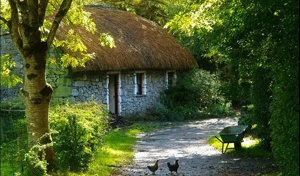 Языков деревня. Деревня Folk Park (Клэр). Folk Park Ирландия. Фольклорный парк Банратти. Folk Park – старинная ирландская деревня 19 века.