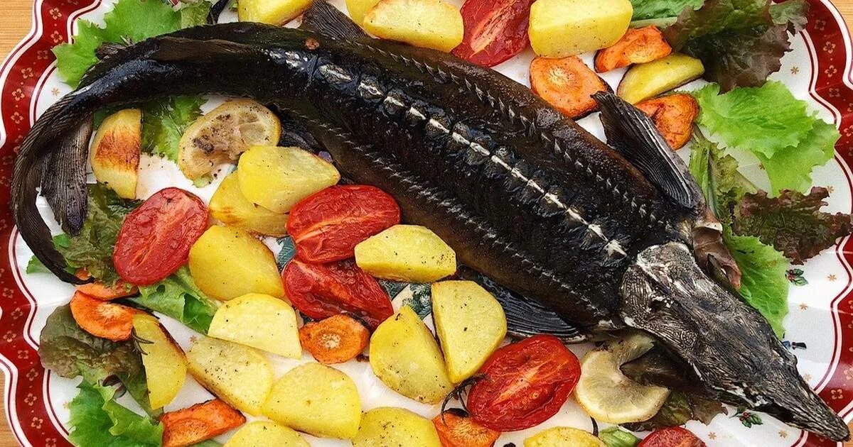 сибирский осётр осетровые. стерлядь характеристика рыбы. стерлядь скидки акции. томат стерлядь f1. вес и возраст стерляди.