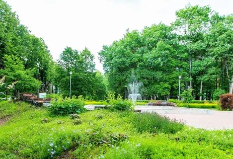 Путевки в зеленый город нижегородская область