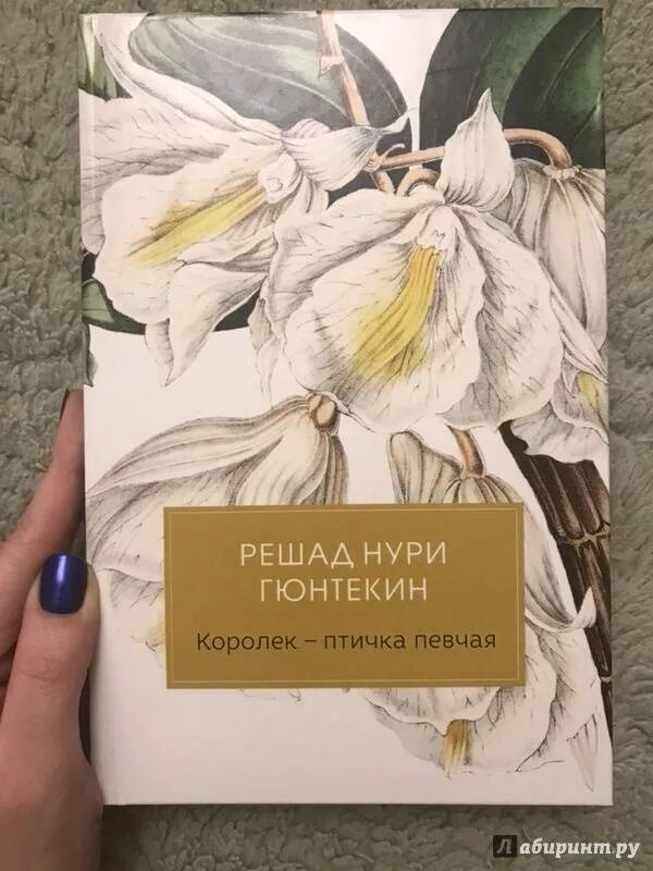 Аудиокнига королек птичка. Гюнтекин птичка певчая. Решад Нури Гюнтекин. “Птичка певчая” Решард Нури Гюнтекин. Решад Нури Гюнтекин писатель.