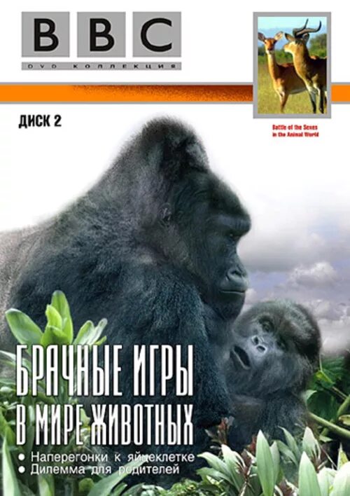Брачные игры в мире животных. Ввс животных. брачные игры в мире животных bbc. bbc брачные игры мире животных диск.