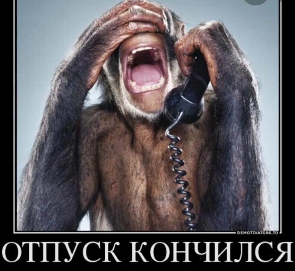 Картинка отпуск закончился завтра на работу. Картинка отпуск закончился завтра на работу