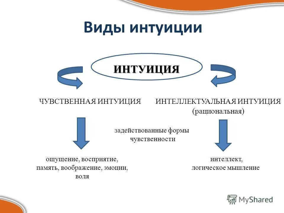 мышление и познание. мышление и чувственное восприятие. мыслительный процесс. мышление и чувственное восприятие. восприятие мозга.
