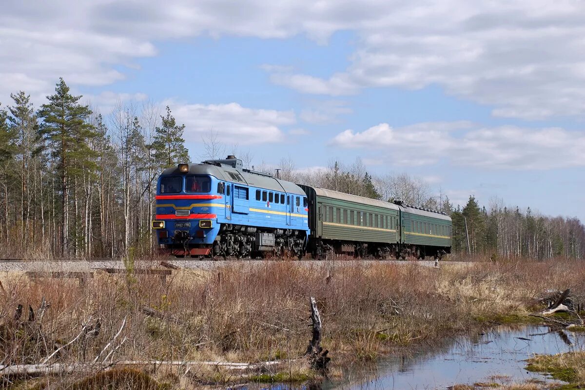 Поезд хвойная. Дм62-1785. Хвойная Будогощь. Тальцы Будогощь. Пригородные Хвойная Будогощь.