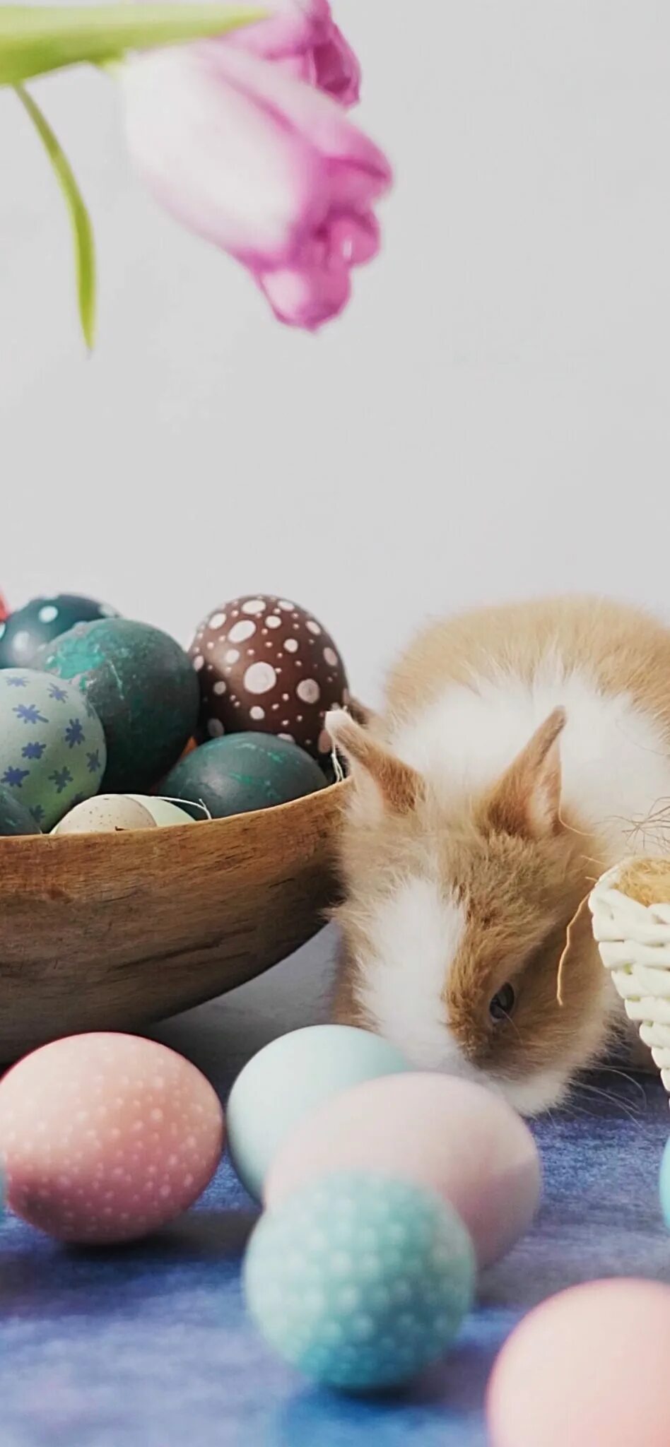 Число пасхи 2020. Число пасхи 2020. Праздник пасхи в 2020 году. Число пасхи 2020. Пасха какого числа православная.