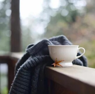 Morning see