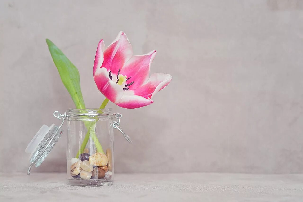 Тюльпаны в вазе. Тюльпаны в стеклянной вазе. Цветы в прозрачной вазе. Весенние цветы в бокале. Чтобы тюльпаны дольше сохранились
