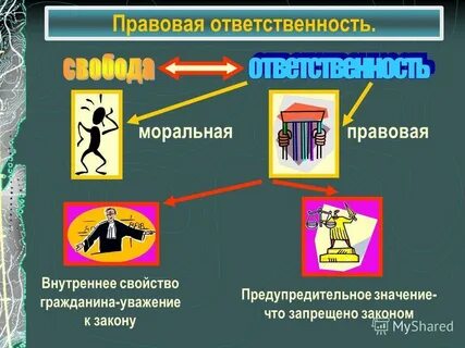 Закон в правовой жизни общества