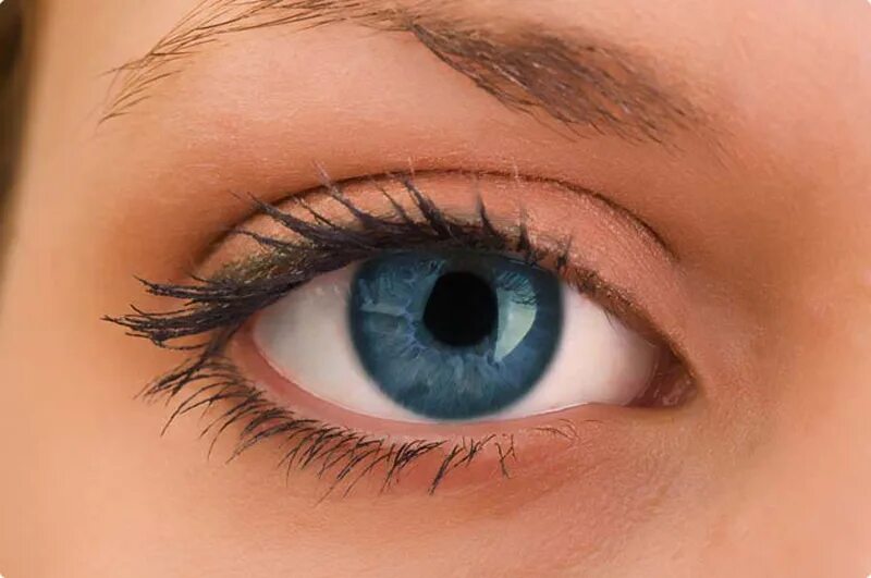 блеск в глазах. сверкнуть глазами. сверкающие глаза. обычные глаза. что значит блестящие глаза.