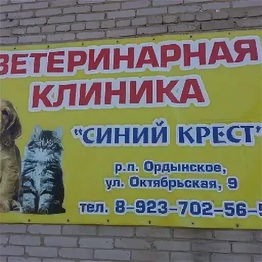 Ветеринарный центр ковчег большая семеновская