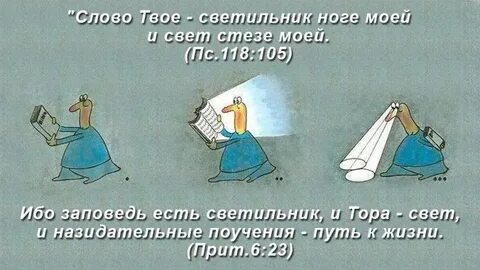 Где твой свет