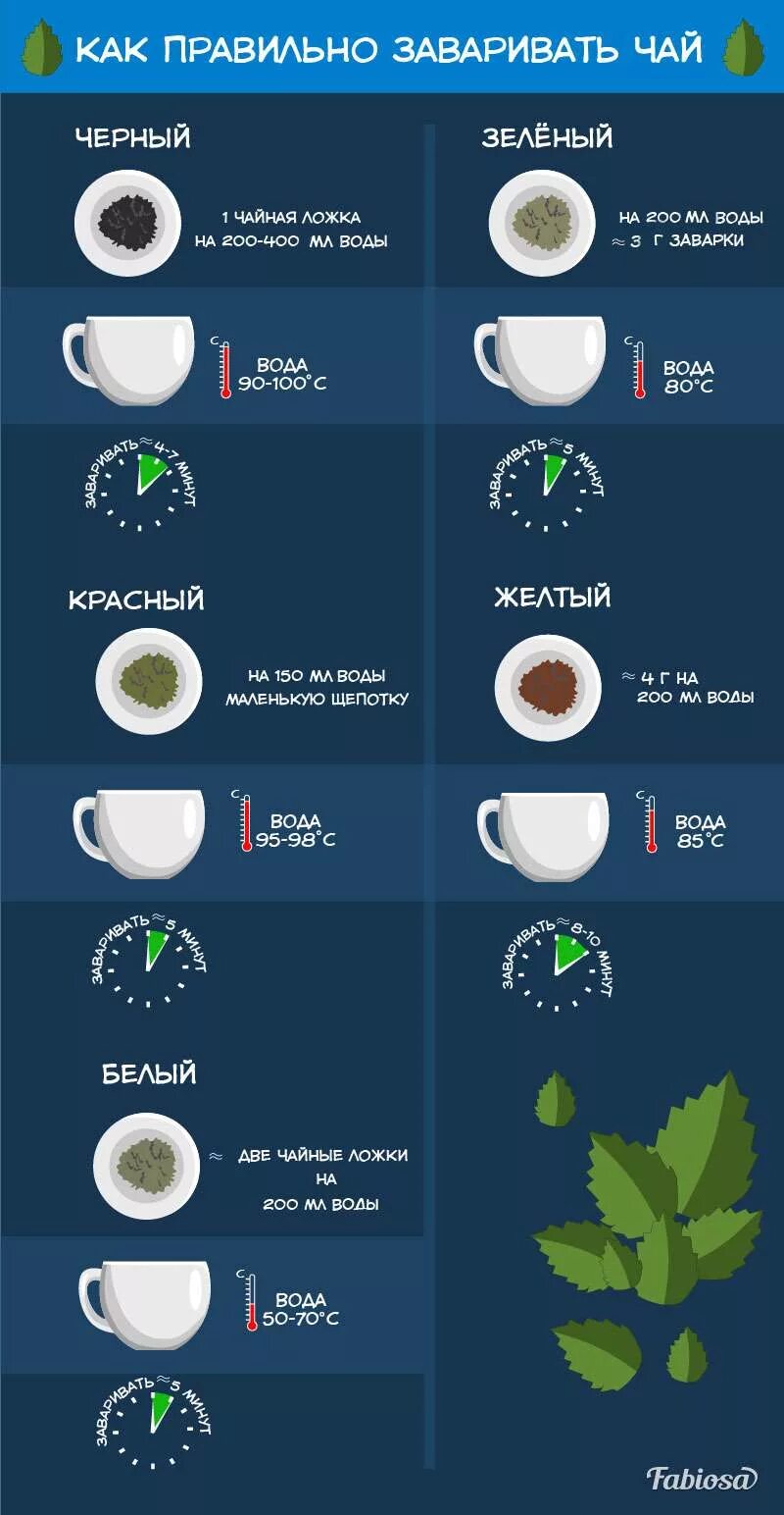 Сколько раз заваривать зеленый чай. Как правильно заваривать чай. Как завариватььзеленый чай. Как правильно заваривать зеленый чай. Правильная заварка чая.