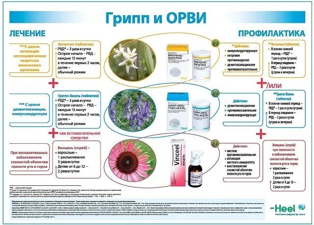 Лечение вируса гриппа. Методы профилактики ОРВИ ОРЗ. Профилактика от ОРВИ И гриппа лекарства. Профилактика гриппа и ОРВИ для детей препараты. Грипп и ОРВИ.