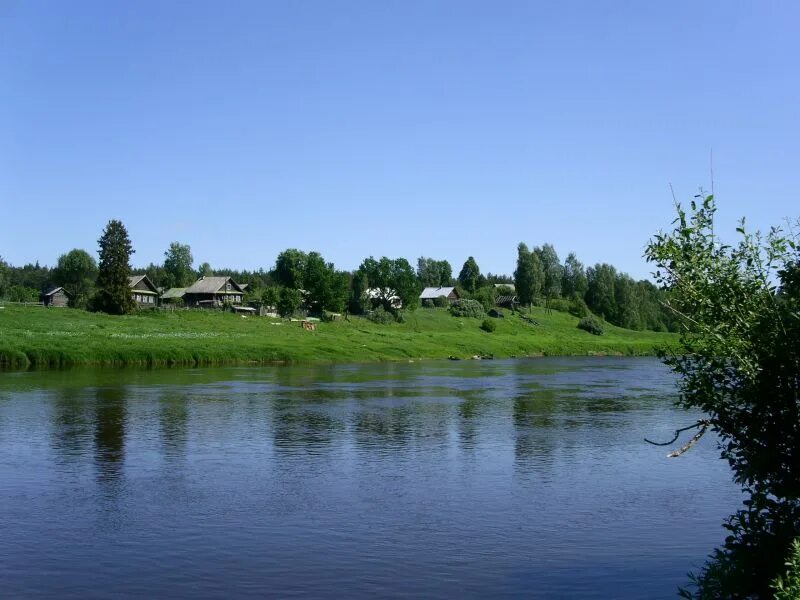 район хмелёвки саратов. хмелевка гайский район. саратов хмелевка пляж. саратов деревня хмелевка. школа в лесной хмелевке.