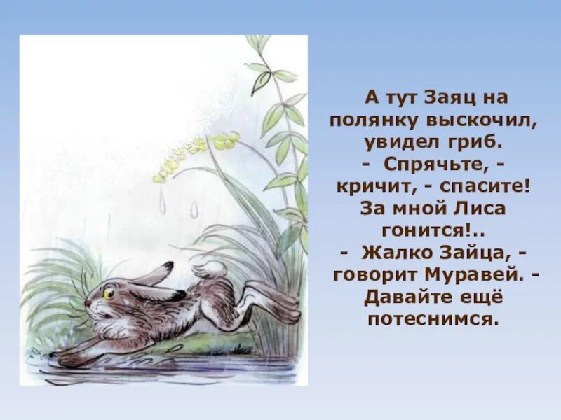 Зайчик в сказочном лесу. Зайчик теремок. Из чащи на опушку выскочил заяц. Заяц беляк и заяц русак и толай. Сладков бюро лесных услуг иллюстрации.