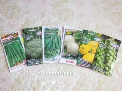 Какие семена лучшие для посадки