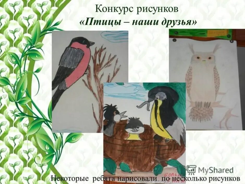 Почему птицы наши друзья. Рисунок птицы на конкурс. Птицы наши друзья. Конкурс птицы наши друзья. Конкурс рисунков птицы наши друзья.