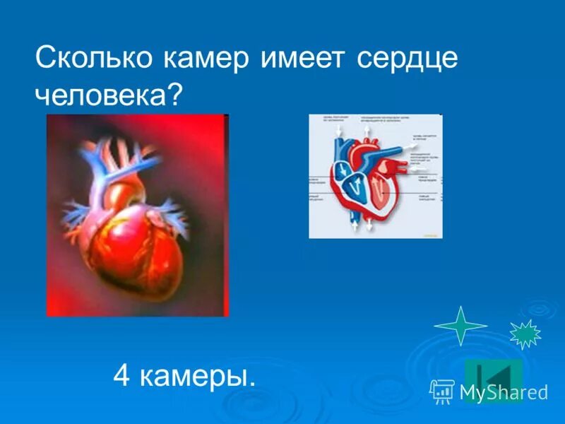 камеры в профиле пвх окна. сколько камер лет. количество камер видеонаблюдения по странам. количество камер в сердце. объем рынка видеонаблюдения сша.