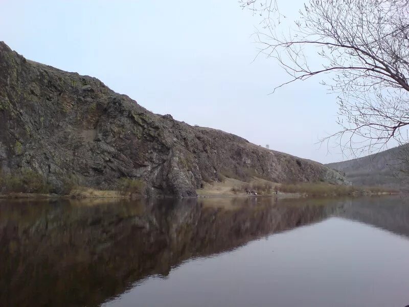 Урульга забайкальский. Урульга забайкальский