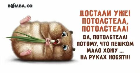 Мало хожу на пары