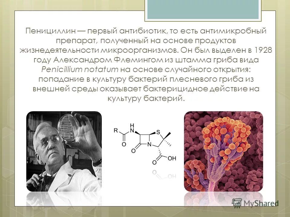 Пенициллин отличается