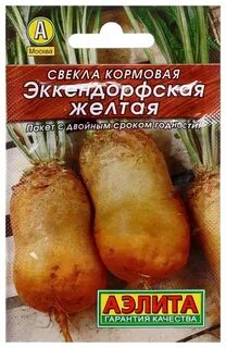 Кормовая свекла для кур