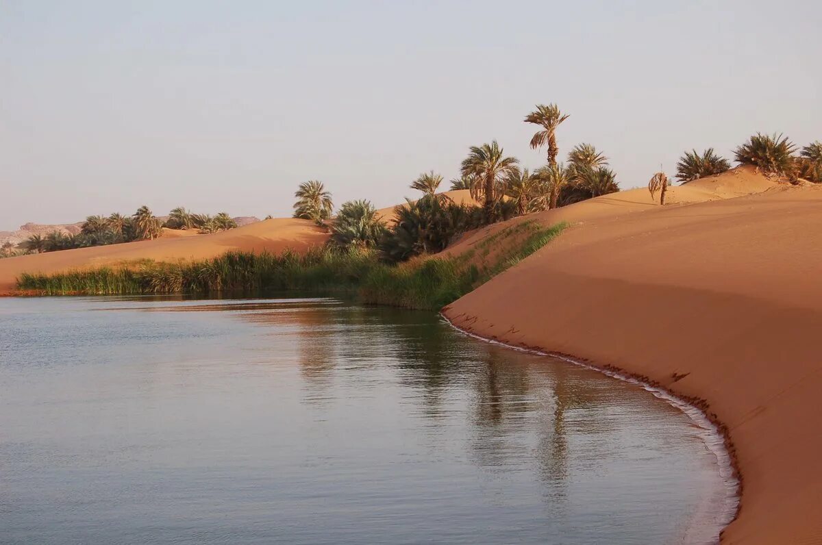 Чад страна википедия. Чад река шари. Чад Озерная котловина. Нигер озеро Чад. Река шари Африки Чад.