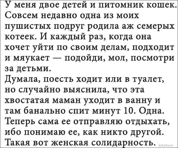 Большие истории из жизни. Интересные рассказы из жизни. Интересные смешные истории. Интересные короткие истории. Интересные рассказы из жизни людей.