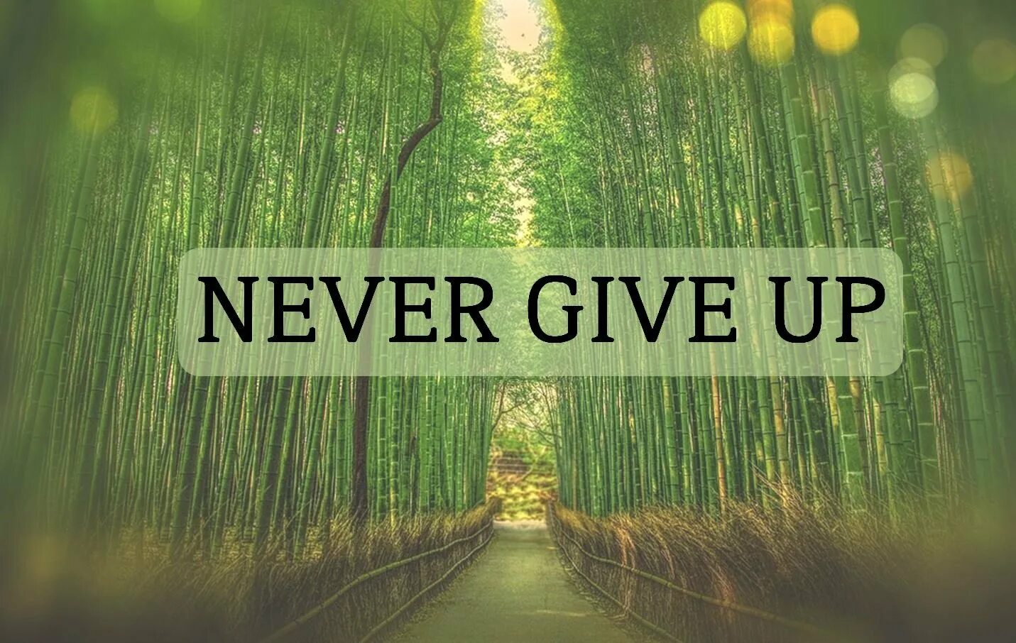 Never give up Карти. Надпись never give up. Never give up обои. Never give up картинки. Донт гив ап