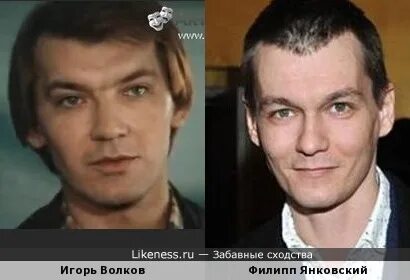 Династия янковских фото