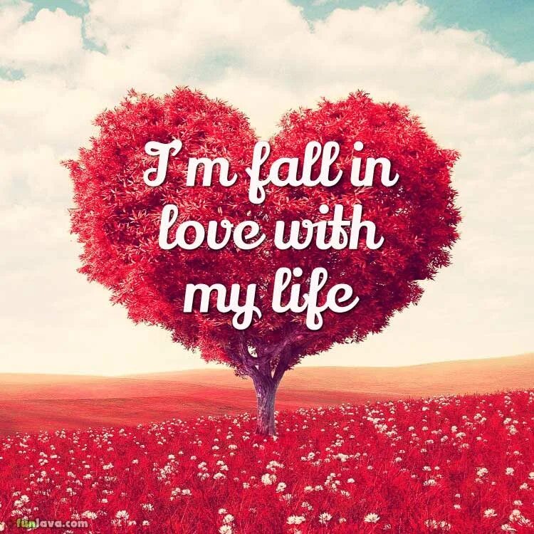 Looking for someone to love перевод. Девушка в солнечных очках. Love in жизни. Мужчина и женщина закат. Глупая женщина держит мужчину.