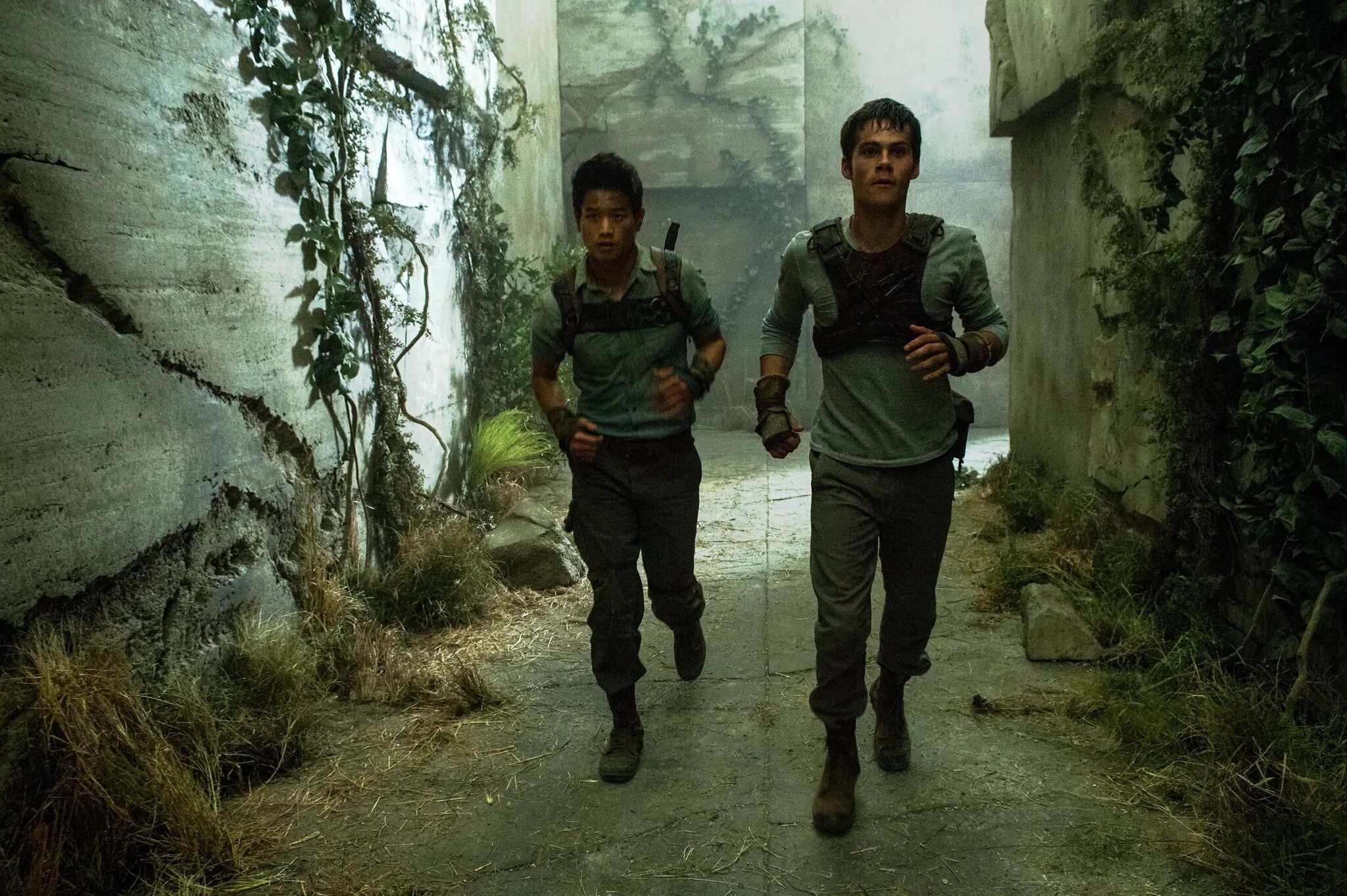 Бегущий в лабиринте 2014. Минхо the Maze Runner. Бегущий в лабиринте 2 на телефон