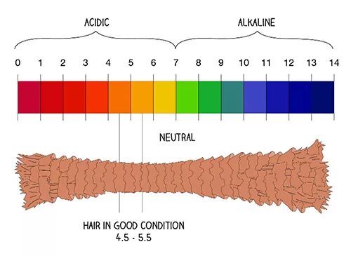 Шкала кислотности PH кожи. Шкала PH волос. Водородный показатель PH волос. PH красителя для волос. Кислотность кожи