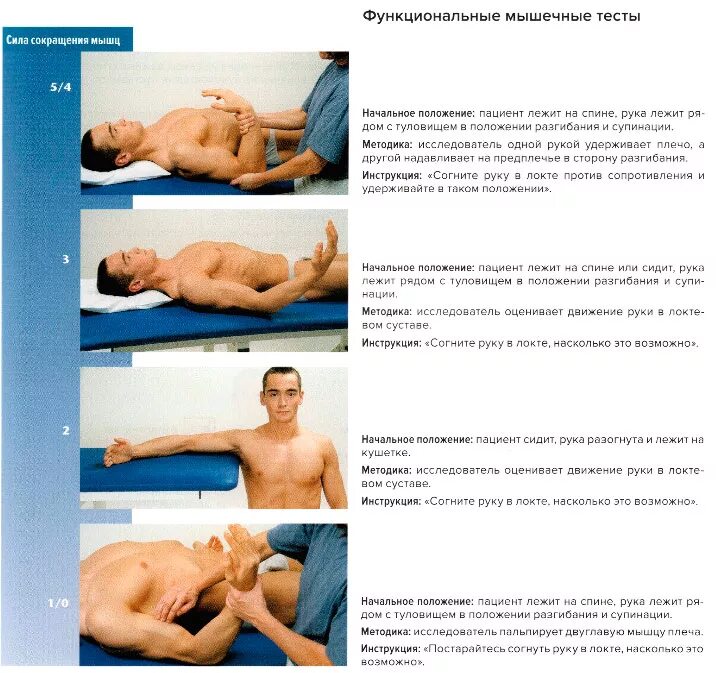 тесты на плечевой сустав. тест мышц плеча. мануально-мышечное тестирование надостной мышцы. тест мышц плеча. функциональные мышечные тесты.
