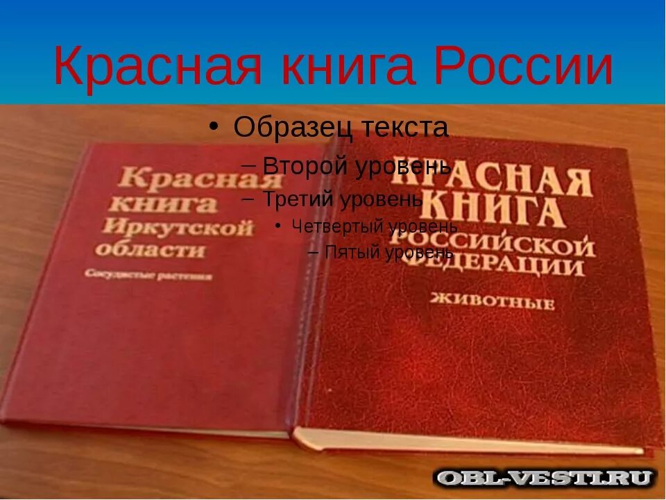 Красная книга. Красная книга России. Красная книга РФ. Обложка красной книги России. Бесплатные книги рф