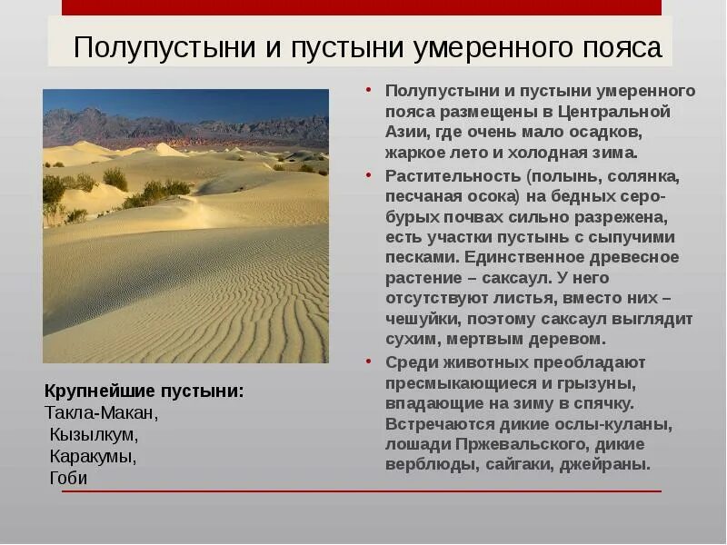 Климат в зоне пустынь и полупустынь в России. Природные зоны России пустыня и полупустыня. Характеристика полупустыни России. Пустыни и полупустыни климат.