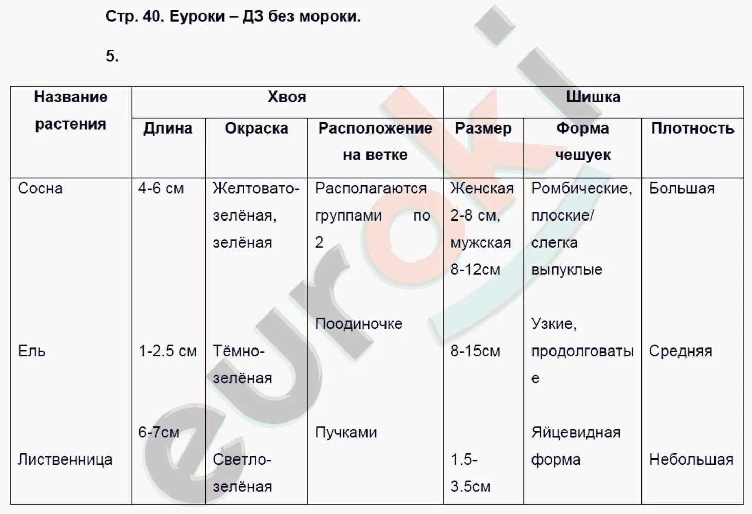 Используя рисунки в параграфе охарактеризуйте. Плотность чешуек шишки сосны. Плотность шишки сосны 5 класс. Строение хвои и шишек хвойных таблица. Строение хвои и шишек хвойных.