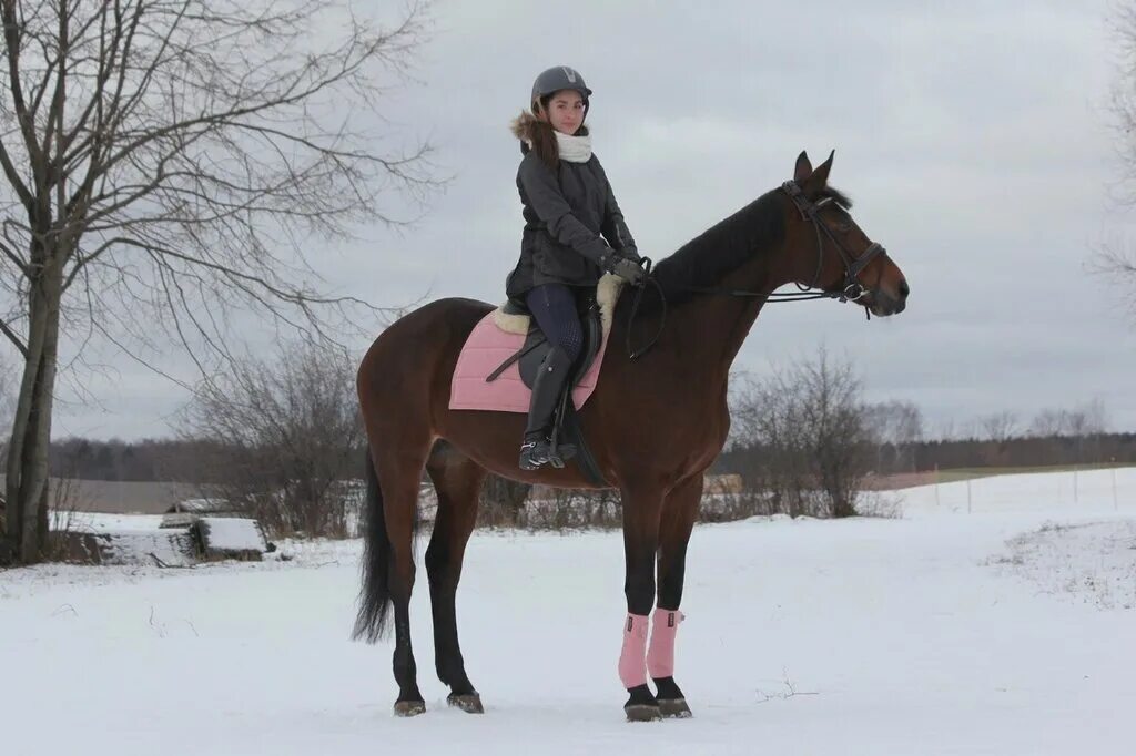 конный спорт планерная. конный спорт планерная. выездка на оусц планерной. конный спорт планерная. светлана александровна 24.