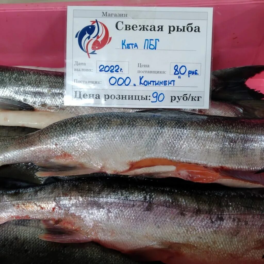 Красная рыба сахалина. Горбуша сахалин. Сахалин лосось. Сахалин морепродукты. Дикий лосось камчатка.