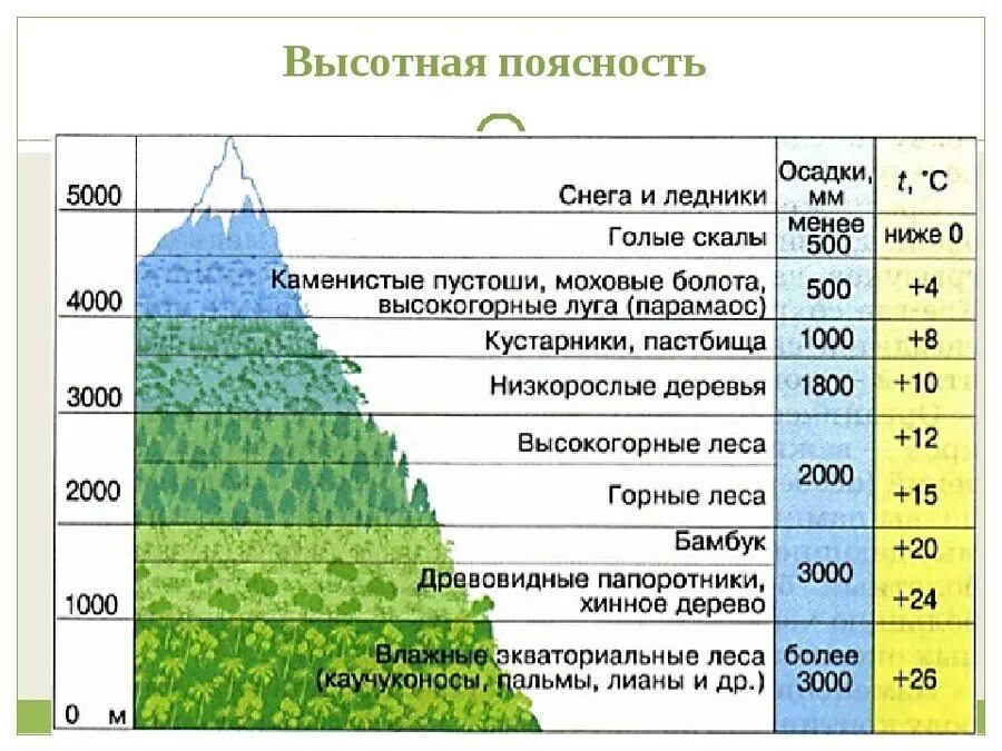 Выберите соответствие природные зоны. Высотная поясность Урала таблица. Высотная поясность Алтая. Высотная поясность Саяны. Высотная поясность Южного Урала таблица.