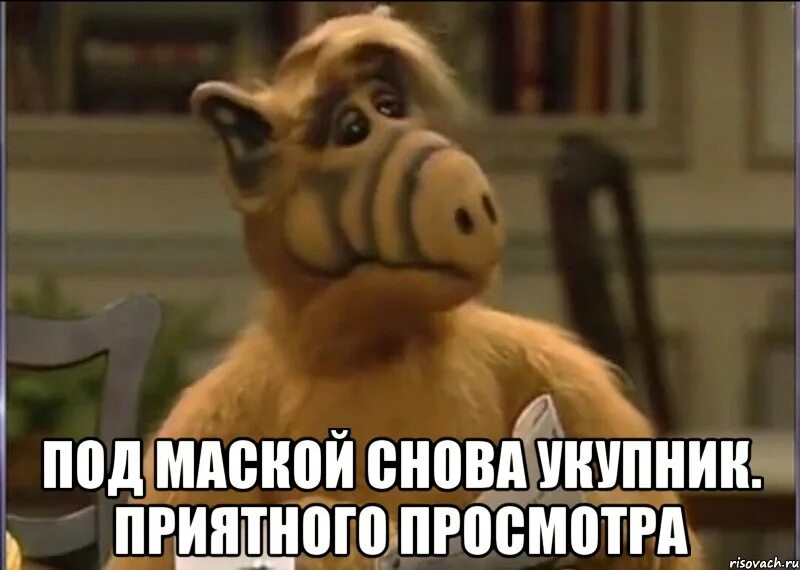 Та альф. Альф в костюме.