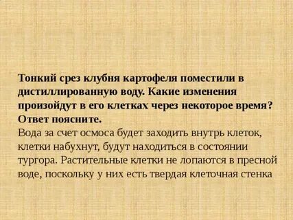 Тонкий срез