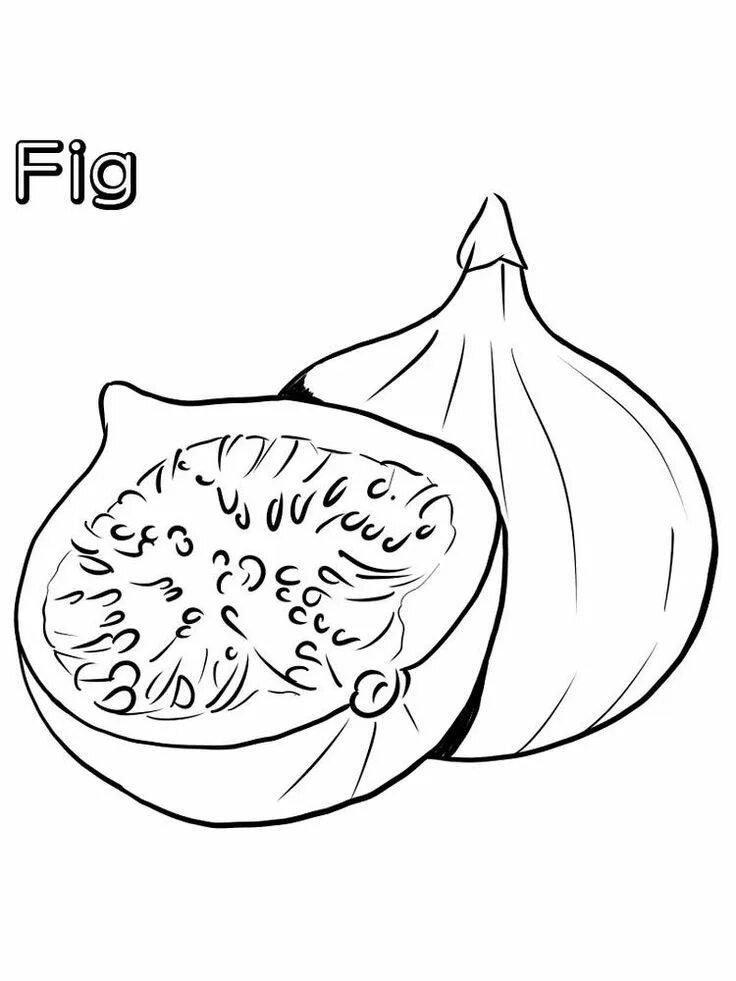 Fig figsize
